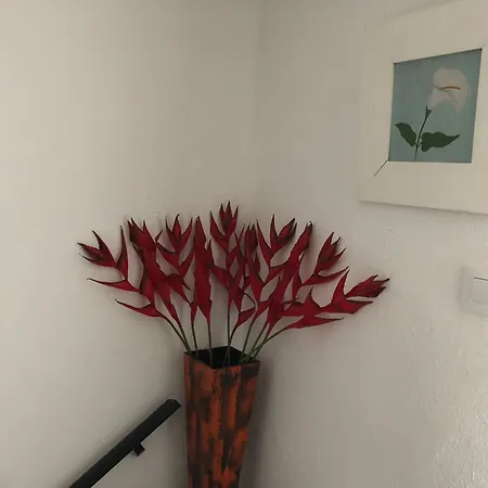 Appartamento Casita Al Completo En Montoro Esterno foto