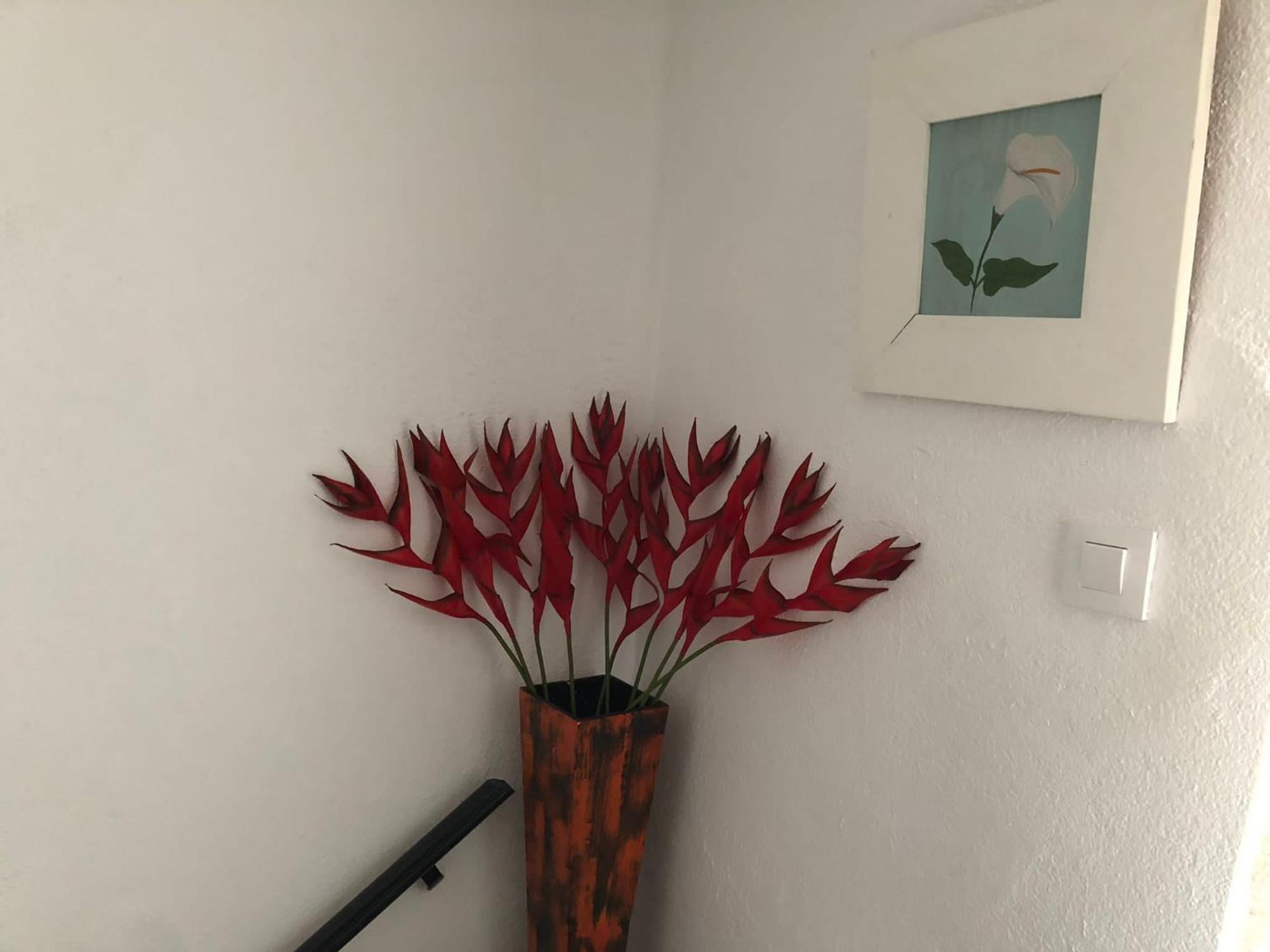 Casita Al Completo En Apartment